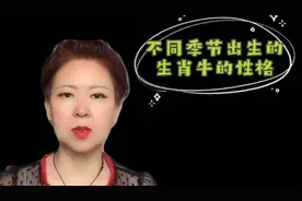 不同季节出生的生肖牛的性格视频封面