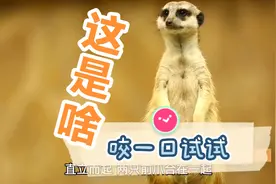 真的有黄大仙吗？黄大小上身了！这个老爷爷被上身了！视频封面