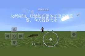 经验池指令教程