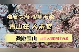 难忘今宵 明年再邀 还没散 已相约 明年再见 微距宝山和谐永清