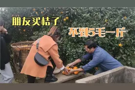 美女买桔子不到5毛一斤，老人少收钱朋友坚持多给，都是善良人视频封面