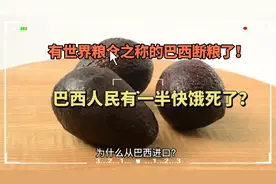 世界粮仓之称的巴西有一半的人民快饿死了视频封面