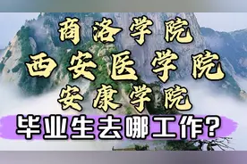 陕西高校7:西安医学院、商洛学院、安康学院毕业生就业解析视频封面