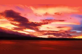 一曲火红的萨日朗，让一颗向往自由的心，找到回家的路