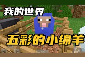 我的世界-如何整一只能变彩色的小绵羊