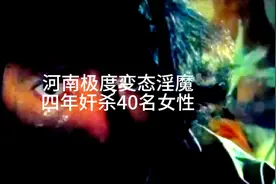 淫魔四年奸杀40名女性视频封面