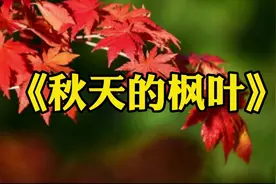 名家散文欣赏：林清玄《秋天的枫叶》视频封面