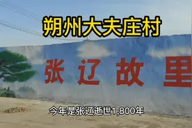 朔州大夫庄村，三国名将张辽故里，修了一个纪念园视频封面