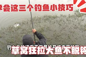 这才是浅水草窝钓大鱼的正确方法，学会这三点，大鱼狂拉不脱钩视频封面