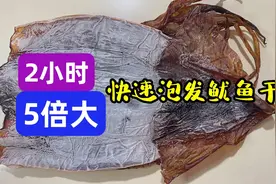 泡发干鱿鱼墨鱼，别只用碱水和清水，海边人教的做法，2小时5倍大视频封面