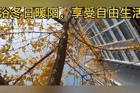 没什么事的话，今年一起等初雪吧