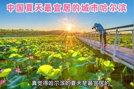 哈尔滨的夏天最宜居，回家真好！和粉丝朋友汇报回哈的生活！视频封面