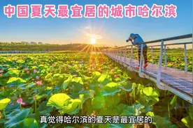哈尔滨的夏天最宜居，回家真好！和粉丝朋友汇报回哈的生活！视频封面