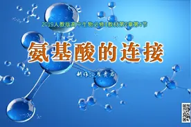 微视频《氨基酸的连接》