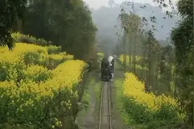 中国最后一条窄轨铁路蒸汽火车，年年亏本却依旧正常运营视频封面