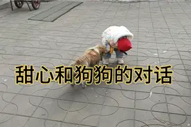 一岁六个月甜心和一只狗，不会说话的娃大家给配个对话就更有趣了视频封面