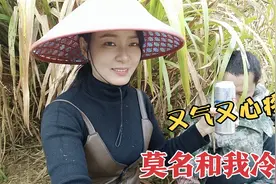 夫妻冷战，媳妇偷偷上山给他送啤酒！看他干活的样子又气又心酸视频封面