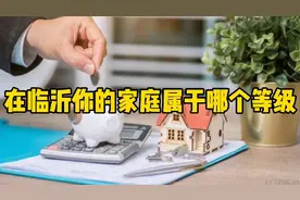 临沂有多少有钱人，你的家庭资产什么等级，看完后有动力了吗？视频封面