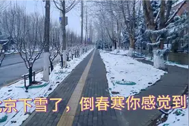 北京倒春寒下的一场雪你感受到了吗？寓意着好兆头。视频封面