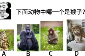 全国学生统一考试，现在开始，你能答对几道呢？视频封面