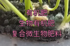 有机肥，生物有机肥，复合微生物肥料，微生物菌剂，到底选哪个？视频封面
