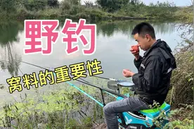 野钓高手告诉我，在野钓中只要注意2点，钓鱼其实没有那么困难。视频封面