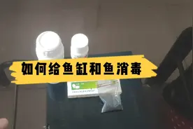 应该如何给鱼缸和鱼消毒？介绍我常用的二种消毒药和使用方法