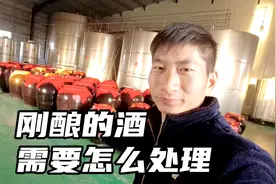 刚酿造的新酒需要怎么处理？小王带你体验一番，新酒怎么处理视频封面