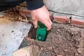 家里有老鼠糟践粮食不用怕，只需一个饮料瓶就能全抓光，学习下