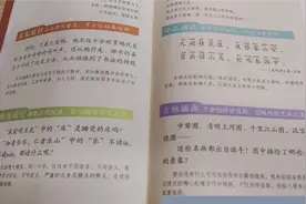 小古文100篇第十八篇《叶公好龙》视频封面