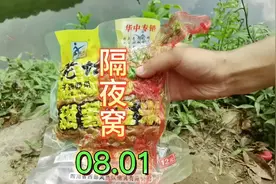 西部风老坛甜薯玉米打窝，挺贵的东西，现在有办法可以省着点用了