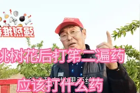 桃树花后打笫二遍药应该打什么药视频封面