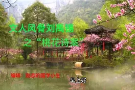 文人风骨刘禹锡之“桃花诗案”视频封面