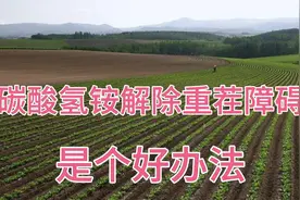碳酸氢铵闷地解决重茬障碍视频封面