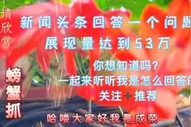 请看我家花开了 同时听听我在新闻头条回答一个问题 展现量达53万视频封面