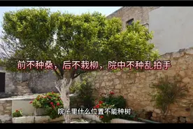 “前不种桑，后不栽柳，院中不种乱拍手”什么意思？视频封面
