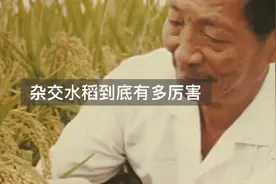 用英文介绍名人-致敬袁隆平爷爷视频封面