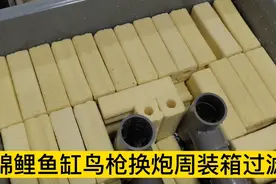 锦鲤鱼缸鸟枪换炮三层周转箱过滤，滤材这样铺