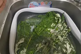 小时候，妈妈在端午节会用艾草洗澡！所以，安排！视频封面