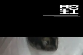小仓鼠，喜爱吃花生，喜爱玉米视频封面