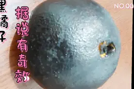 黑色的橘子，你们吃过吗？据说有奇效！今天这就给我菇凉当饭吃了视频封面