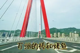 从重庆主城自驾到万州，车游万州七座桥，观城貌品万州特色烤鱼。视频封面