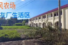 79岁老人讲述，16岁从农村到上海崇明农场围垦、开荒的故事！视频封面