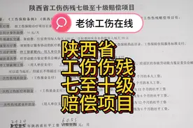 陕西省工伤伤残七至十级赔偿项目有哪些视频封面