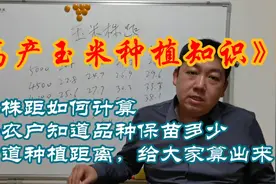 高产玉米种植知识，玉米株距如何计算？掌握玉米品种密度更高产。视频封面