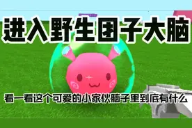 迷你世界：当我们进入野生团子的大脑！视频封面