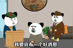 兔子脾气为啥越来越爆？视频封面