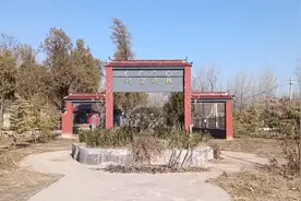 丰县王沟镇韩庄第2集：韩氏祠堂院落里数棵百年老柏树苍劲有力！