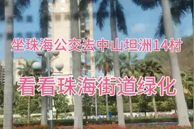珠海去中山坦洲14村，坐公交看看珠海街道绿化视频封面