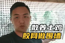 农村荒山养鸡，塑胶网做围墙怎么样？成本便宜实用视频封面
